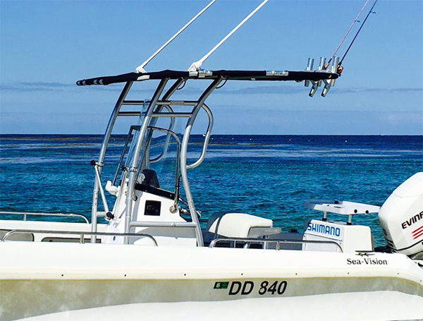 الترويج! Dolphin Pro2 Center C - مراجعة Fishing Rod Boat وسعره