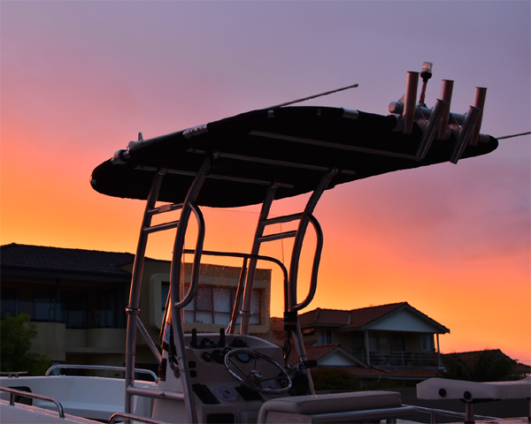 الترويج! Dolphin Pro2 Center C - مراجعة Fishing Rod Boat وسعره